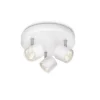 Star 3 spotlight
