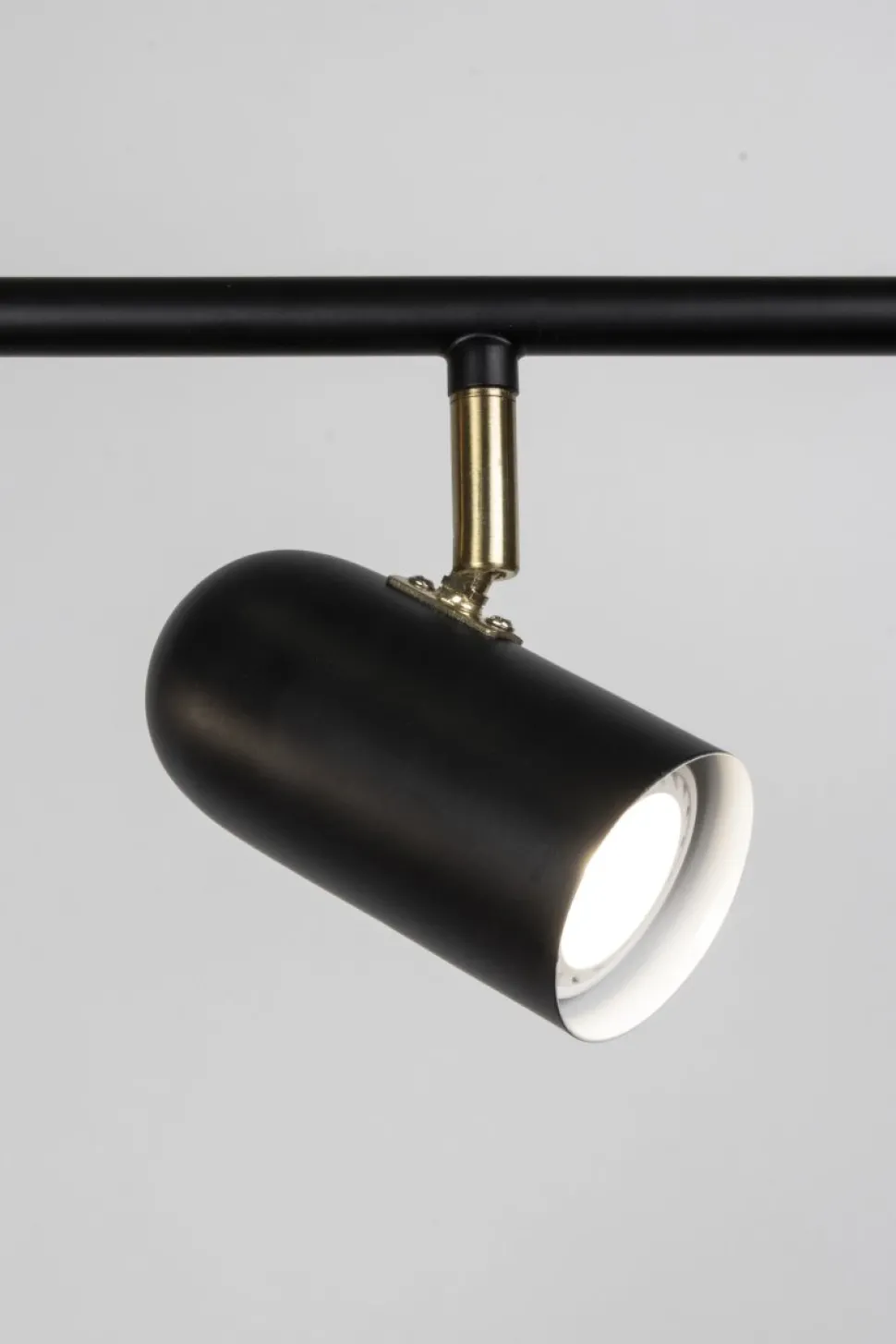 Swan 5 spotlight
