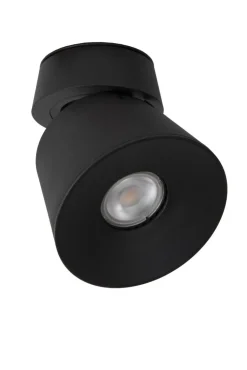 Trigono spotlight