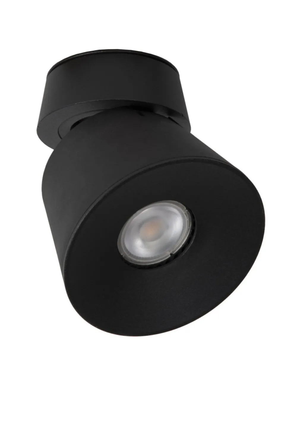 Trigono spotlight
