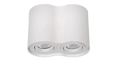 Tube 2 spotlight