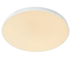 Unar Ø80 plafond