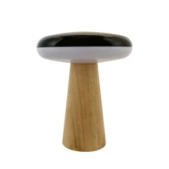 2 Ways 25cm portabel