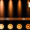 Xyrus 2 spotlight
