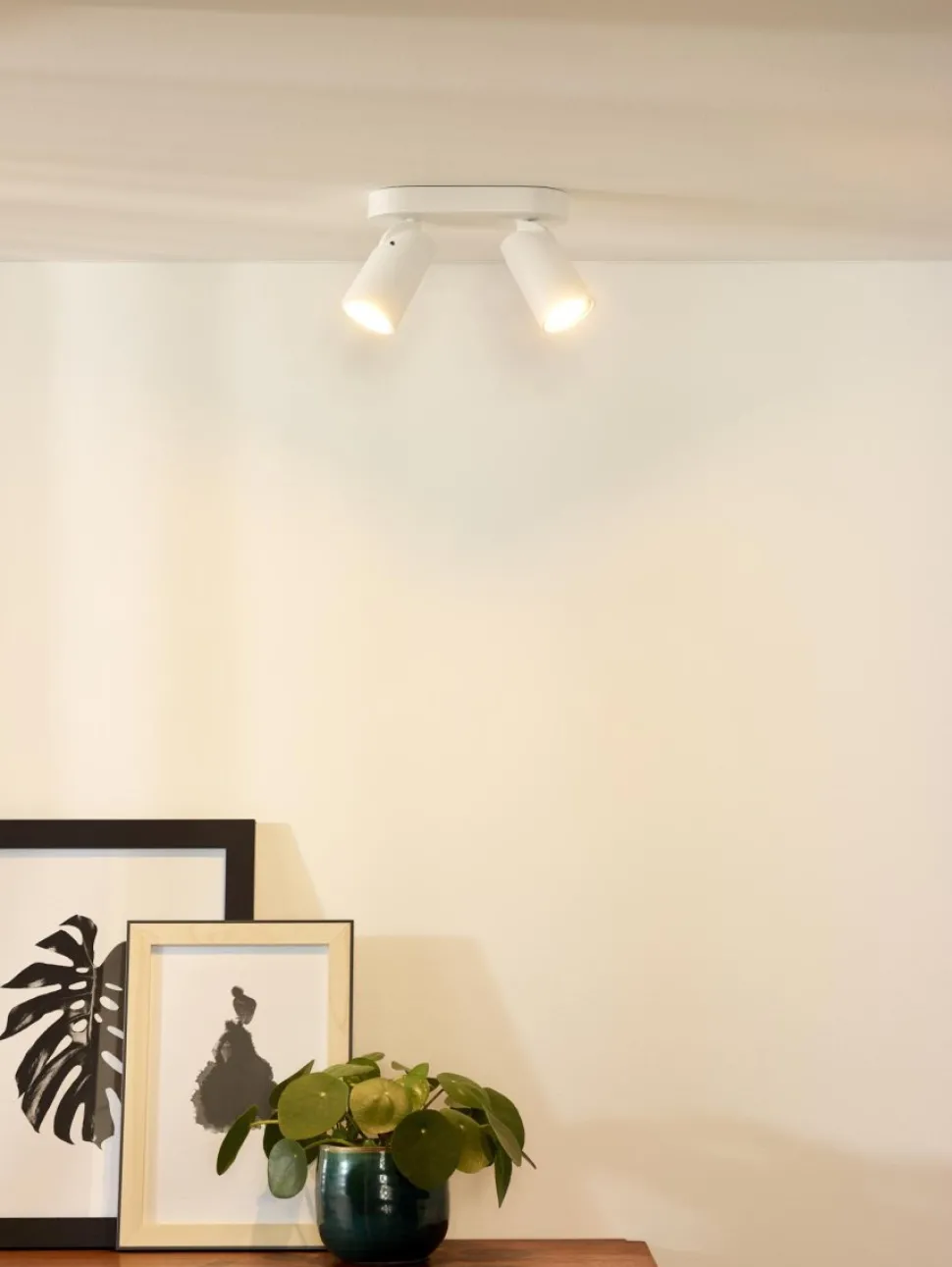 Xyrus 2 spotlight